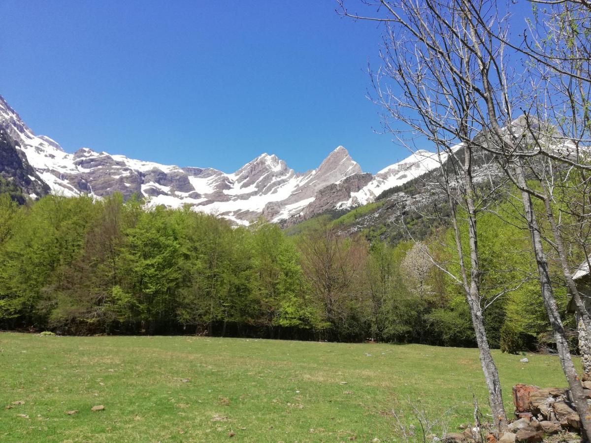Apartamento El Fenal De Turmo Casa Rural "El Capricho De Nieves" Laspuña Eksteriør bilde